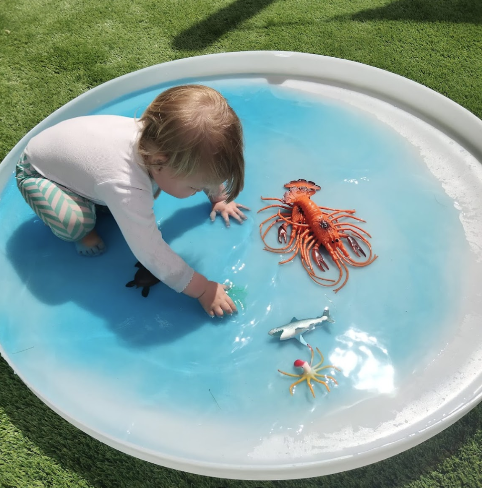 All-In-One EverPlay Tray Set (4pcs) - Image 14