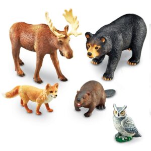 Animal Sets